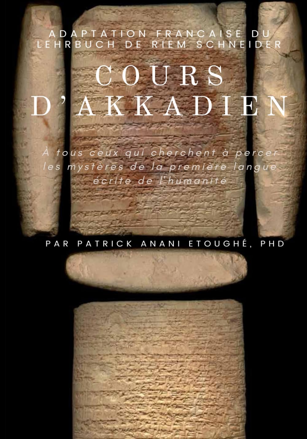 COURS D'AKKADIEN: ADAPTATION FRANCAISE DU LEHRBUCH DE RIEM SCHNEIDER (French Edition)