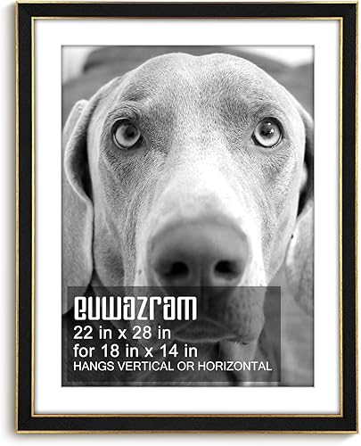 Miniatura 117 de Marco de gamuza de 10 x 13 pulgadas, marco individual, elegante marco verde de 10 x 13 pulgadas con paspartú para fotos de 8.5 x 11 pulgadas, para