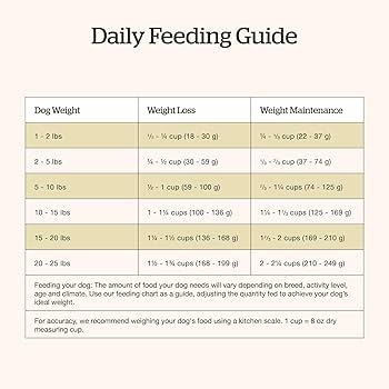 Amazon.com: Now Fresh Good Gravy Premium Dry Dog Food with