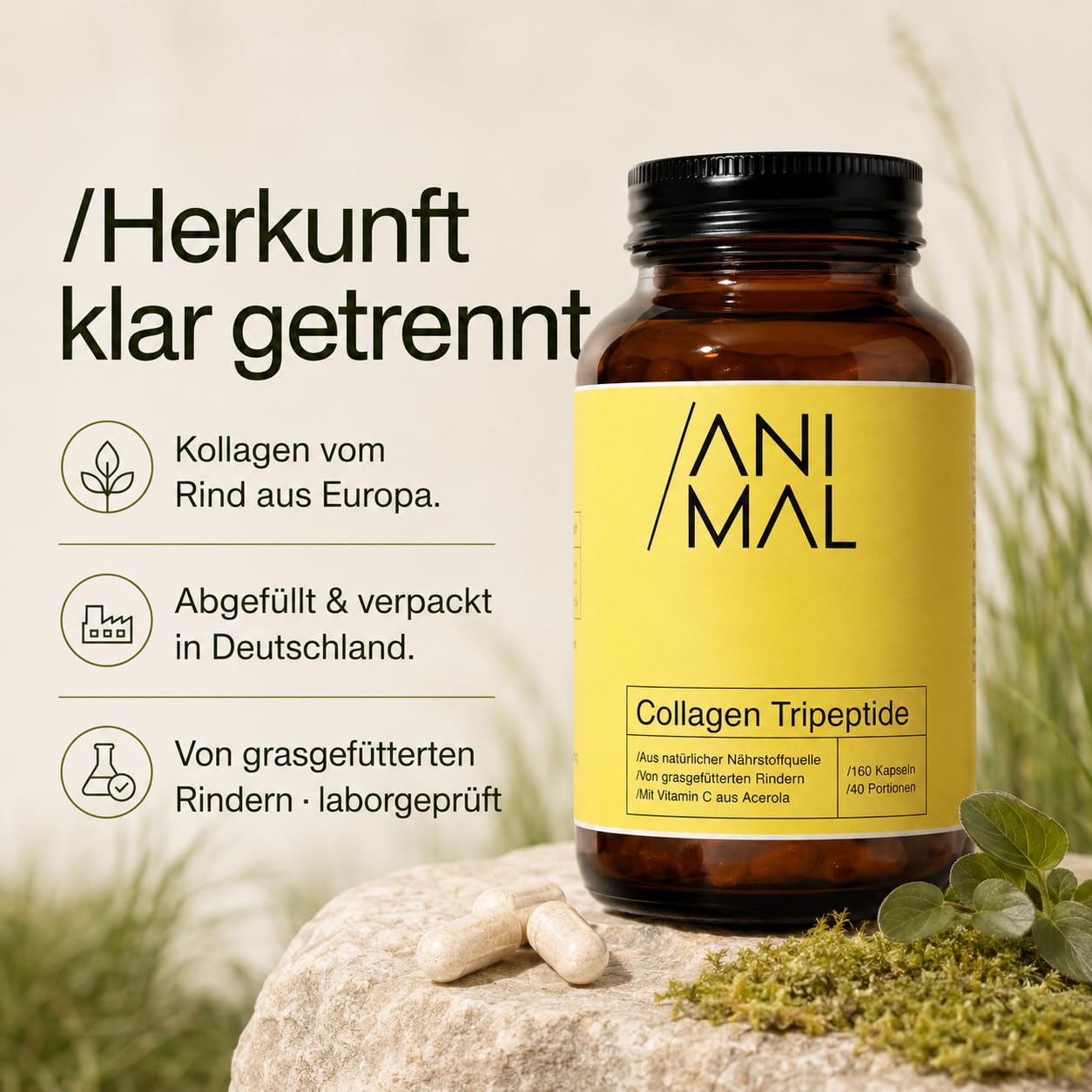Kollagen Kapseln hochdosiert [160 Stk.] – Collagen Tripeptide nur 500 Dalton – Mit Vitamin C aus Acerola für eine normale Kollagenbildung – 2.000 mg Kollagen pro Tagesdosis – 40 Portionen