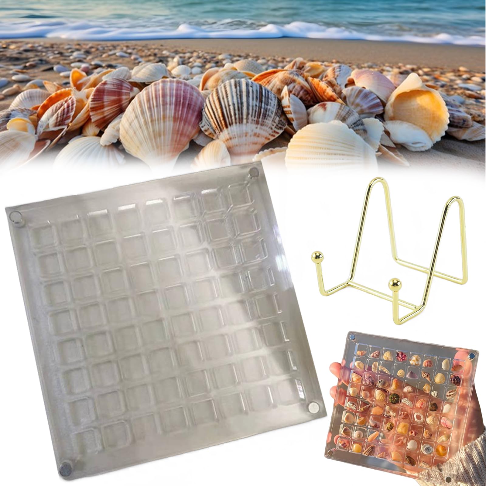 Nnbwlmaee 1Pcs-64 Grids Acrylic Magnetic Seashell Display Box, 2024 New Seashell Display Box, 36/64/100 Grids Magnetic Seashell Display Box For Storage Of Shells, Jewelry, Etc. With Display Stand (1Pcs-64 Grids)
