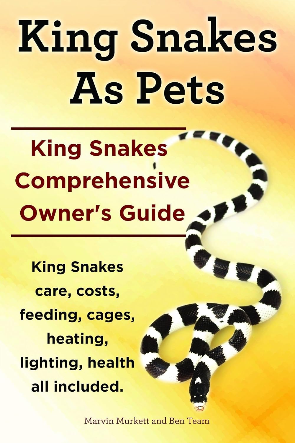 Mexican Black King Snake Care Sheet: Setup, Feeding, & More