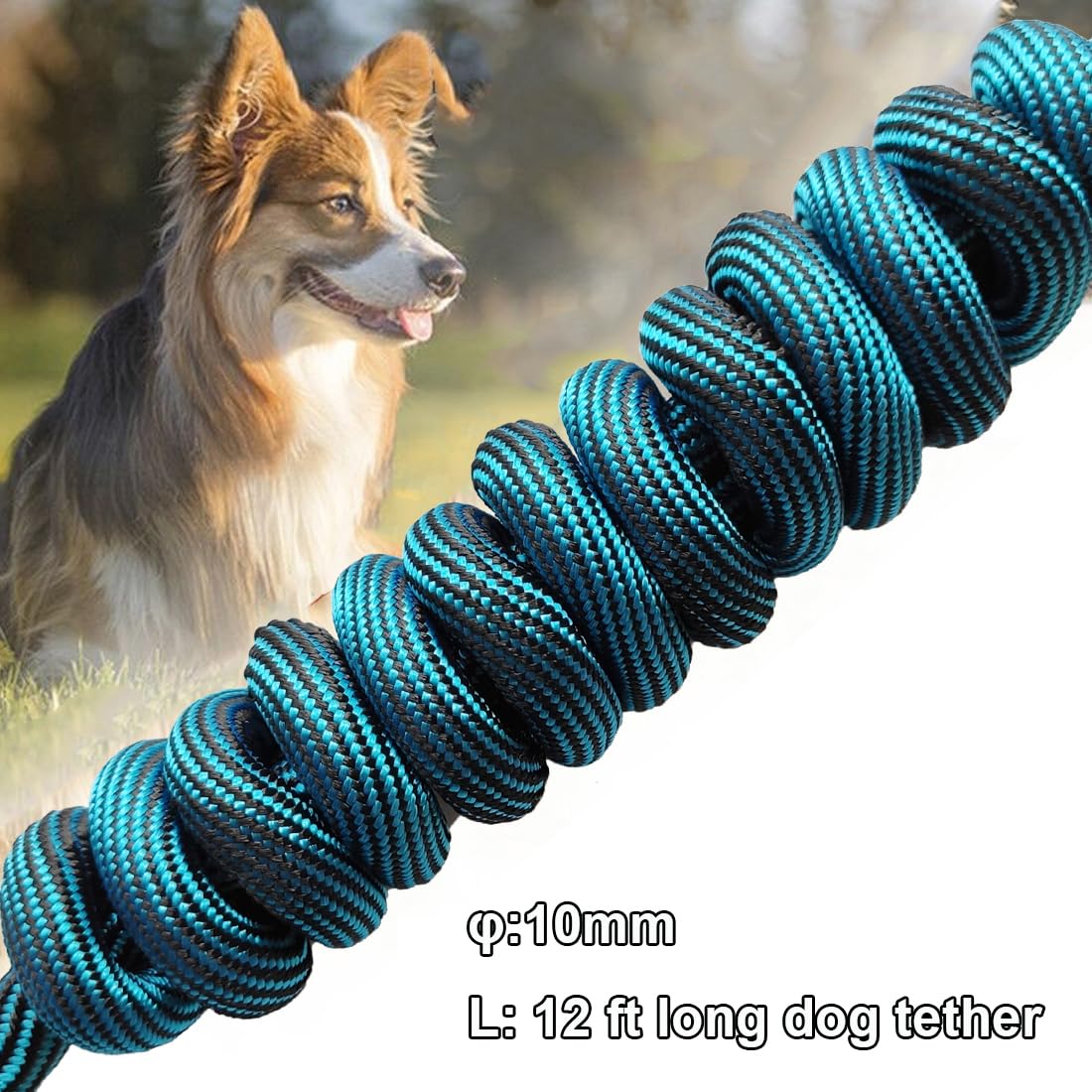 BTINESFUL Correa de cuerda larga para perro de 3,7 m de 6,1 m de 9,1 m y 15,2 m, ideal para perros grandes, medianos y pequeños, entrenamientos, jugando, camping, o patio trasero (3,7 m, azul negro)