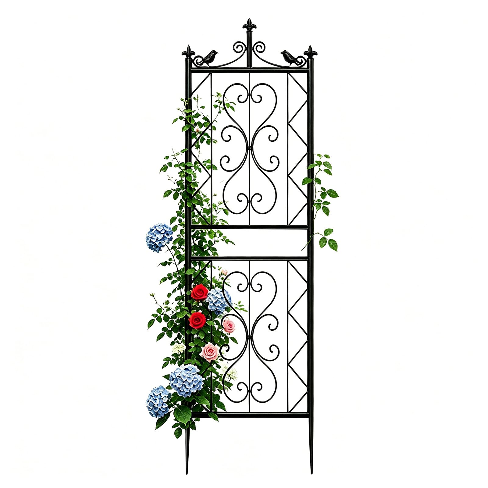 Traliccio in Metallo 195x50cm per Piante Rampicanti – Griglia Decorativa da Giardino con Uccellini – Recinzione per Fiori e Verdure, Nero (1 pz)