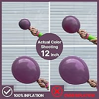 Vista 810 de PartyWoo Nude Balloons 100pcs 12 Inch Apricot Boho Fall Neutral Latex Helium Balloons for Graduation Wedding Anniversary Birthday Boy Baby Shower