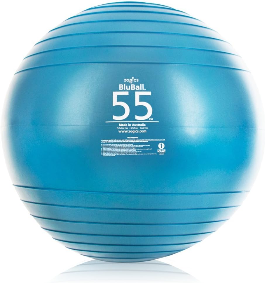 Zogics2200lbs Static Strength Exercise Stability Ball