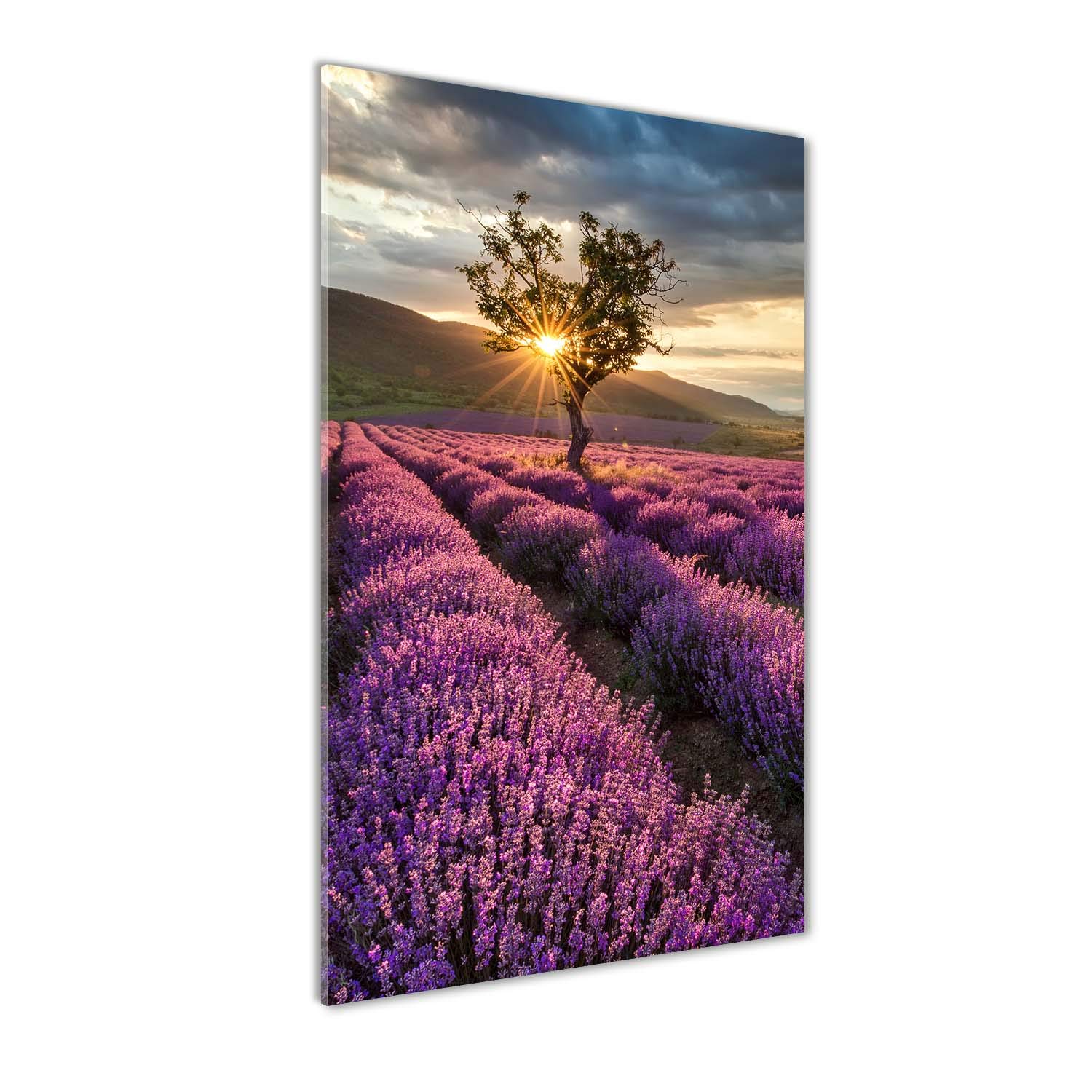 Impression sur verre lavande image tableau photo décorative 50x100 cm