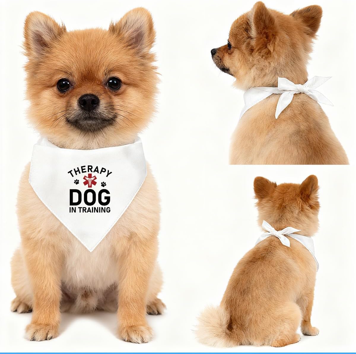 Therapy Dog in Training Bandana, White Pet Triangle Scarf for Boy and Girl, Dog's Bandana for Small Medium Dogs, Pet Dog's Scarf Accessories, Gifts to Dogs Lovers image 4