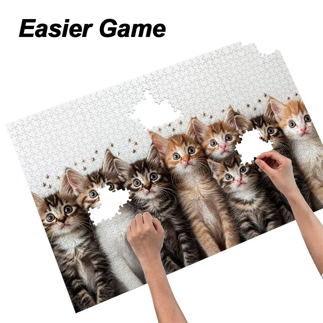 Puzzle 2000 Pezzi, Puzzle Gatto per Adulti, 100x71cm, Compact Box -4632