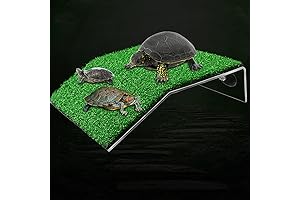 DoubleWood Large Turtle Basking Platform: An Amphibious Haven for Aquatic Reptiles