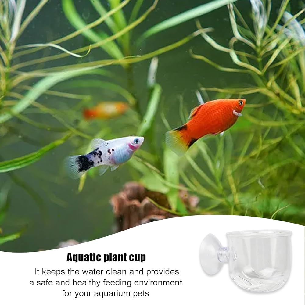 Mangiatoia Per Acquario In Vetro Buwei - Ciotola Galleggiante Per Pesci E Gamberetti, 6 Misure - Foto 11