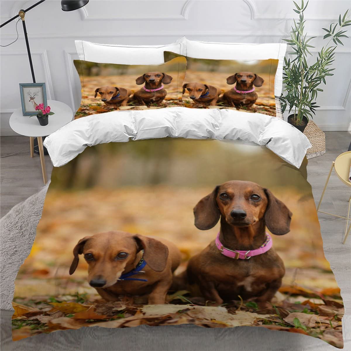 Amazon.com: Dachshund Puppy Duvet Cover 