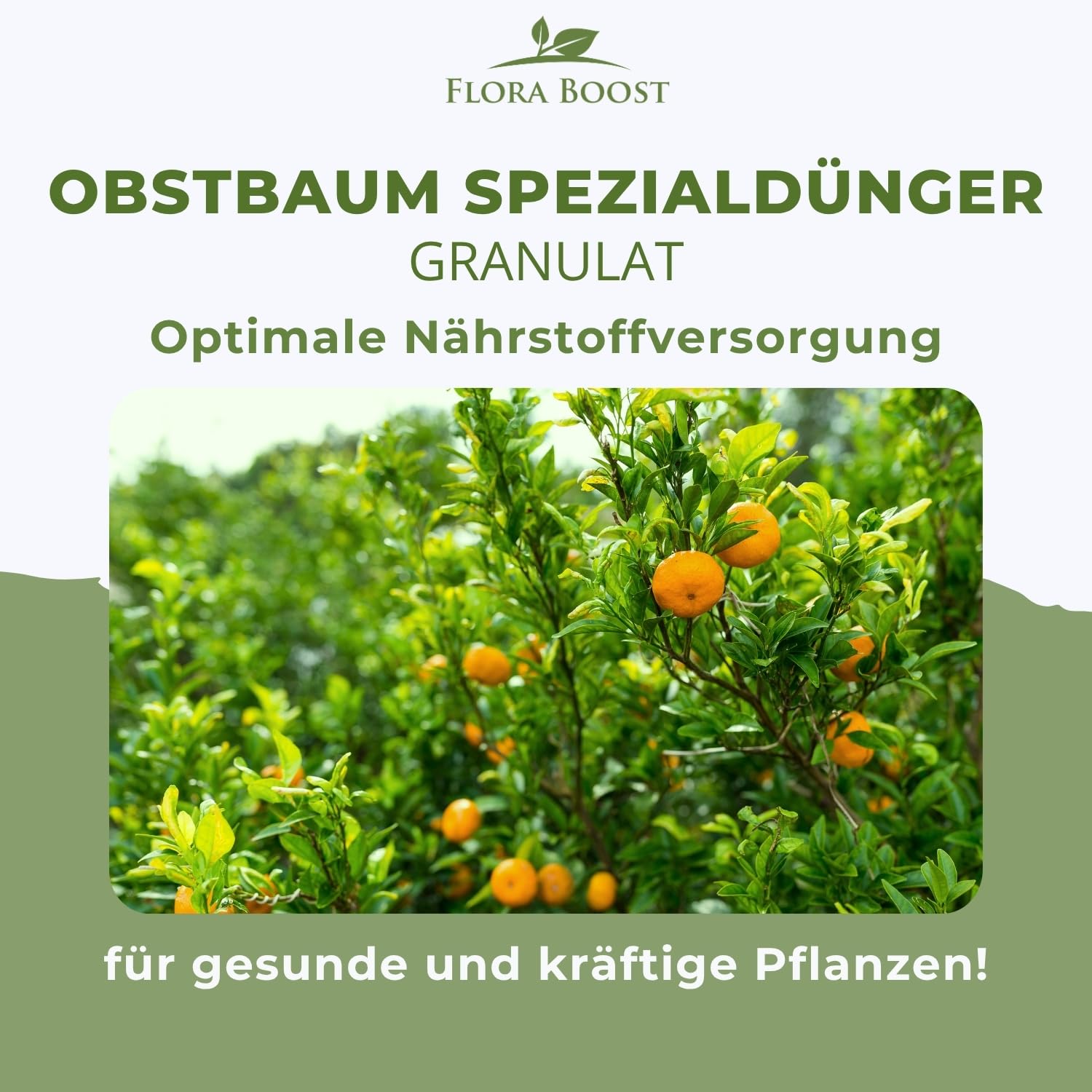 Flora Boost PRO Obstbaum Dünger Langzeitwirkung I NPK 8-4-5 Granulat für Apfel-, Birn-, Kirsch- & Pflaumenbäume I Organisch-mineralischer Baumdünger für gesundes Wachstum & reiche Ernten
