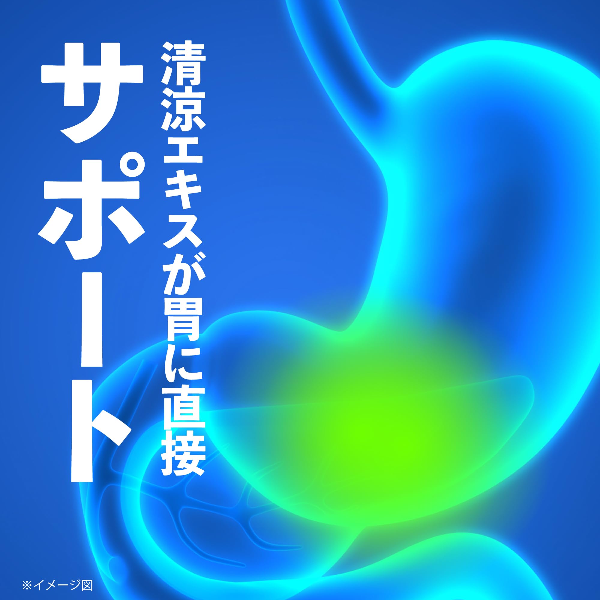 Amazon | イツラック 二日酔い 1箱(30日/90カプセル) 悪酔い 胃