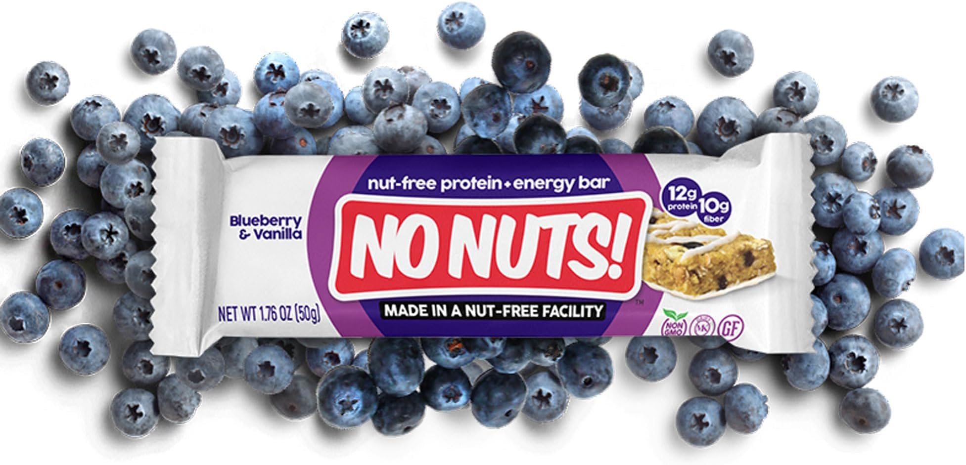 No Nuts! Blueberry & Vanilla Protein Bars – Nut-Free & School-Safe | 12g Plant Protein, Vegan, Gluten-Free, Non-GMO, Organic, Kosher | 12 Count