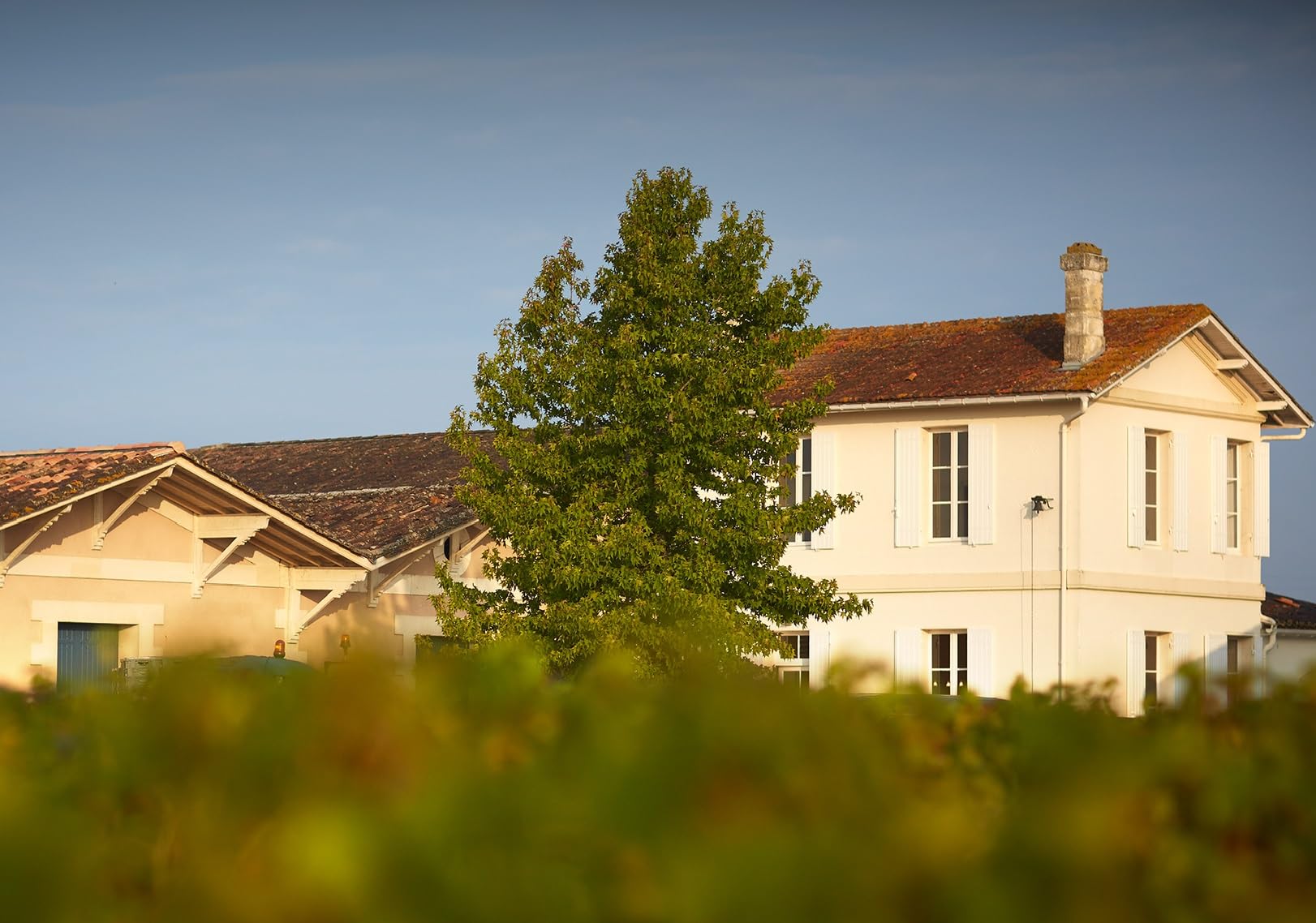 Folie de Chauvin - AOP Saint-Émilion Grand Cru - Vin Rouge - Millésime 2020-1 bouteille x 75cl