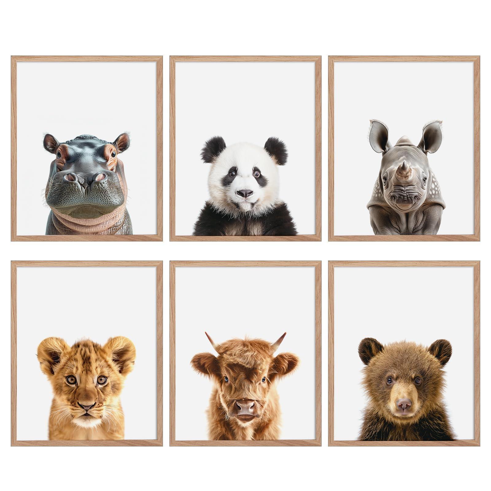 Animal pictures wall art,Boys & girls bedroom decor,Kindergarten & Nursery,Infants and Toddlers,Early Childhood Education Room, nursery pictures wall decor,set of 6,8x10 unframed