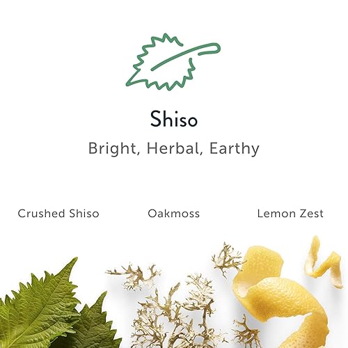 Miniatura 8 de Harrys Desodorante para hombre desodorante con control de olores sin aluminio paquete variado piedra shiso secoya 25 onzas paquete de 3