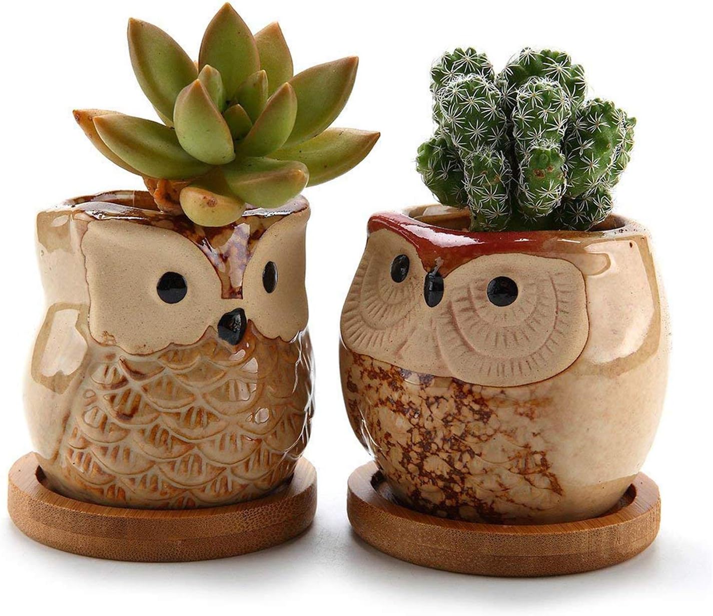 T4U 6.5CM Ceramic Owl Succulent Cactus Planter Pot Set with Bamboo Tray - Glaze Brown, Pack of 2, Home Office Decoration Desktop Windowsill Bonsai Pots Gift for Gardener Wedding Birthday Christmas