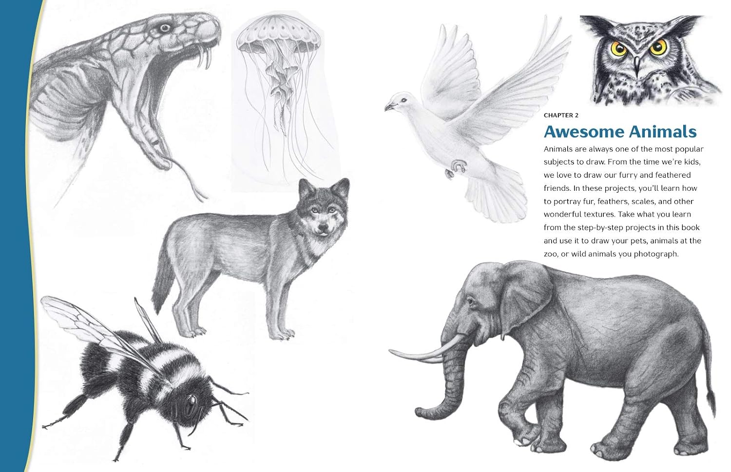 The 15-Minute Artist: The Quick and Easy Way to Draw Almost Anything