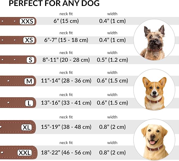 CollarDirect Rolled Leather Dog Collar, Soft Padded Round Puppy Collar, Handmade Genuine Leather Collar Dog Small Large Cat Collars (Cinnamon Smooth, 15-18 cm) - 4