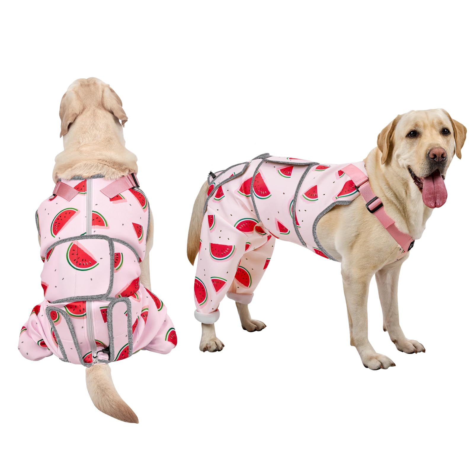 Arblina Dog Surgery Recovery Suit
