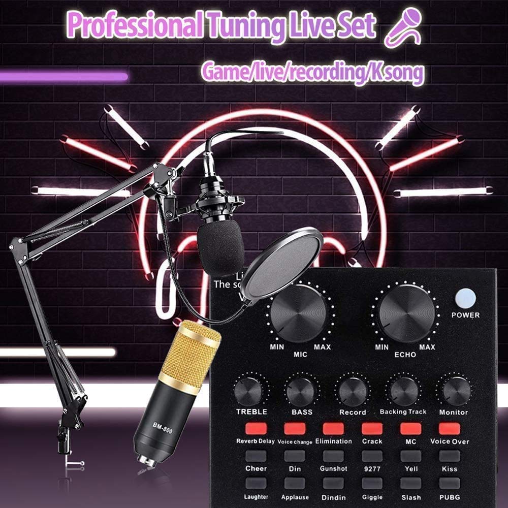 Kit Microfono BM-800 con Scheda Audio Live, Console Mixer Audio Digitale Portatile a 2 canali, Braccio a Forbice, Supporto Antiurto in Metallo e Filtro Anti-Pop a Doppio Strato per regi