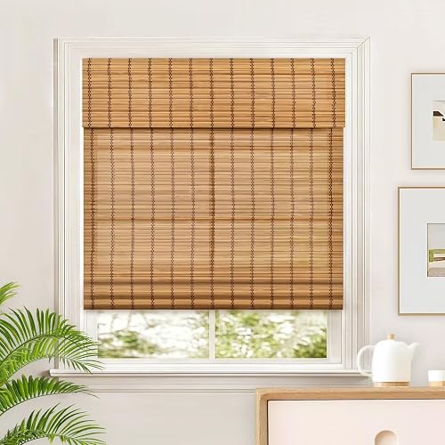 Window Blinds Roman Shades for Indoor Windows, Light Filtering Cordless Mini Blinds, Easy to Install Roman Curtains for Window,30" W x 64" H