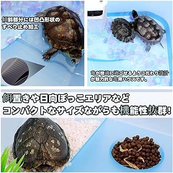 大きいガメ、大壺 Amazon | Zehaiwl カメ用水槽 大きい カメ 水槽 亀の水槽 40CM