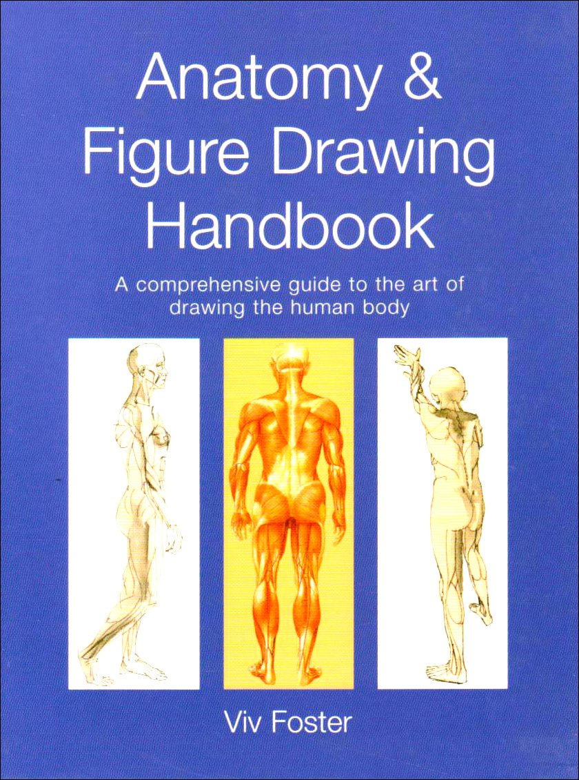 Anatomy & Figure Drawing Handbook: viv-foster: 9781840137088