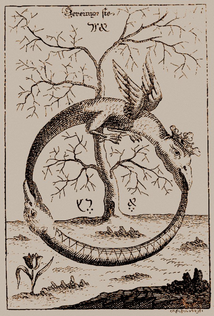 K*a様 さ*け様 ideaswam OUROBOROS WASHED ZIP Amazon.com: Abraham Eleazar Ouroboros : Ancient Alchemy Circa 1735