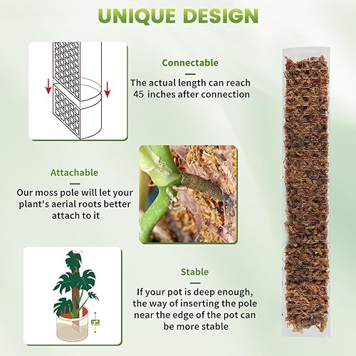 Miniatura 3 de EOX 6 postes de musgo de plástico de 24 pulgadas para plantas Monstera, plantas trepadoras, soporte de plantas para plantas de interior, funciona