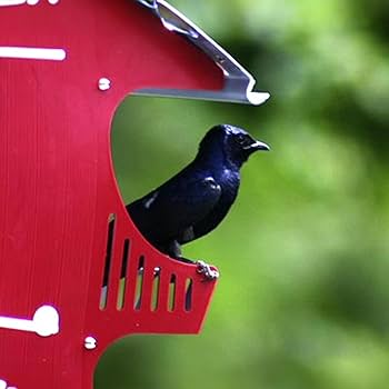 k様 SHINYAKOZUKA x Converse All Star Boarderstar Ox | Hypebeast