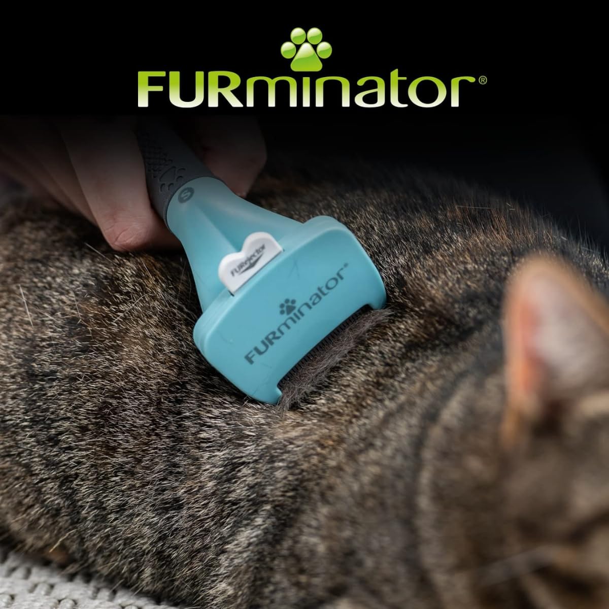 FURminator deShedding, Tool para gatos pequeños de pelo corto, Cepillo talla S para gatos pequeños para eliminar el pelo suelto