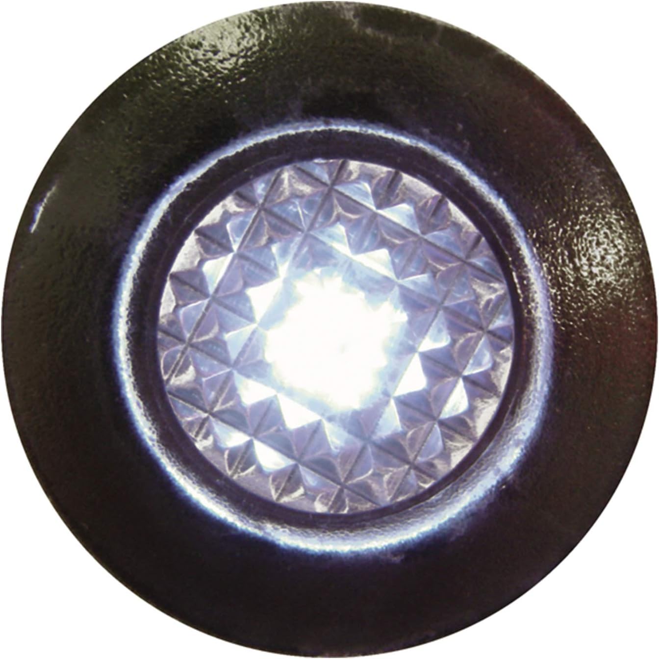 SeaSense LED Livewell Light, White