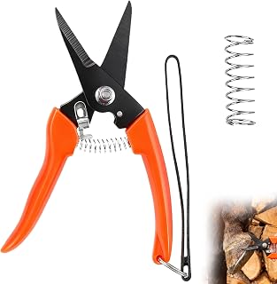 Professional Goat Hoof Trimmers – Heavy Duty Hoof Shears for Sheep, Goats, Alpaca, Pig, and Horse | Sharp Stainless Steel Hoof Clippers for Farm Animal Hoof Care and Nail Trimming