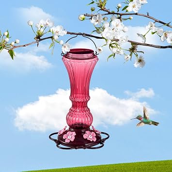 Beserie 2 Pack Hummingbird Feeder for Outdoors Plastic Bee Proof Humming Bird Nectar Feeders with 5 Flower Feeding Ports Hanging for Outsides Garden Decor, 20 oz