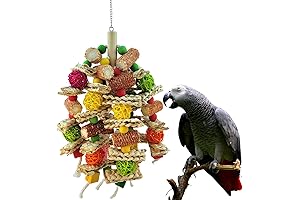Parrot Toys: Corn Cob Haven for African Grey and Macaw Joy