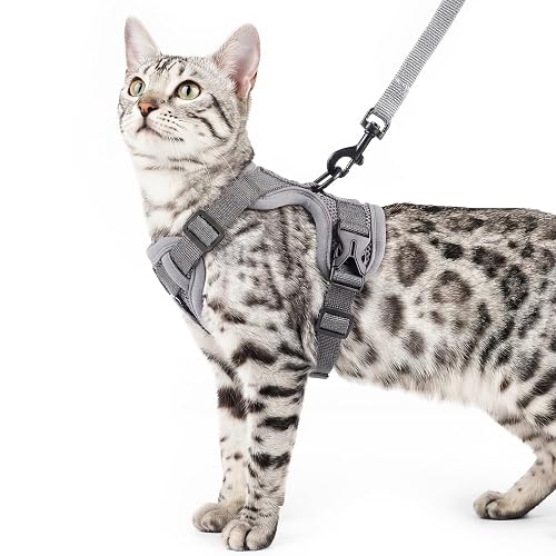 pangdi Escape Proof Cat Harness and Leash Set (Grey, XL)
