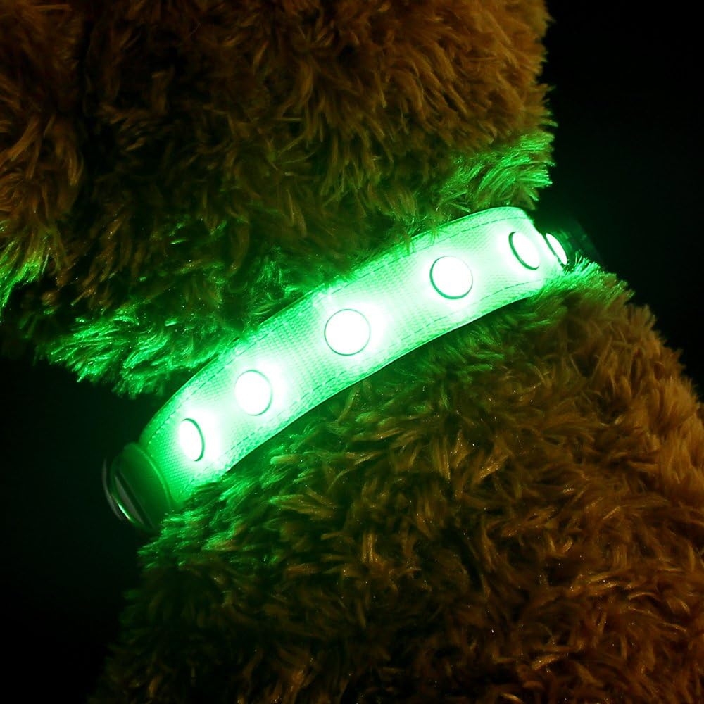 Pawow Dog LED Light-up Collar Rechargeable Night Safety Collar, Green (large)