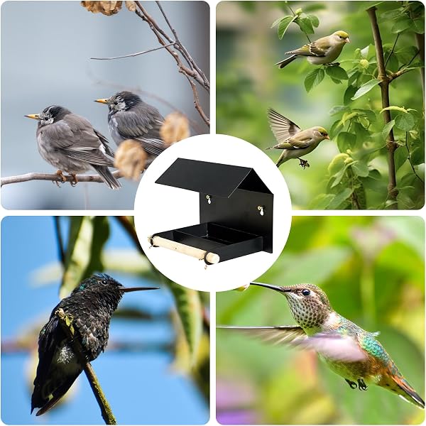 Comederos para Exteriores - de alimentación Impermeable con Visera | Grande para colibríes - para jardín, terraza, Patio, árbol, balcón, campanario gorrión - 4