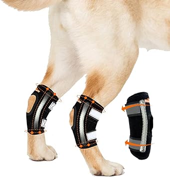 NeoAlly Super Supportive Dog Braces for Rear Hock Joint with Dual Metal Spring Strips Stabilize Canine Hind Legs from Wound Injury Sprains Arthritis Medium Pair