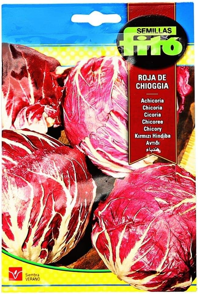 FitoCorn Salad Big Grain