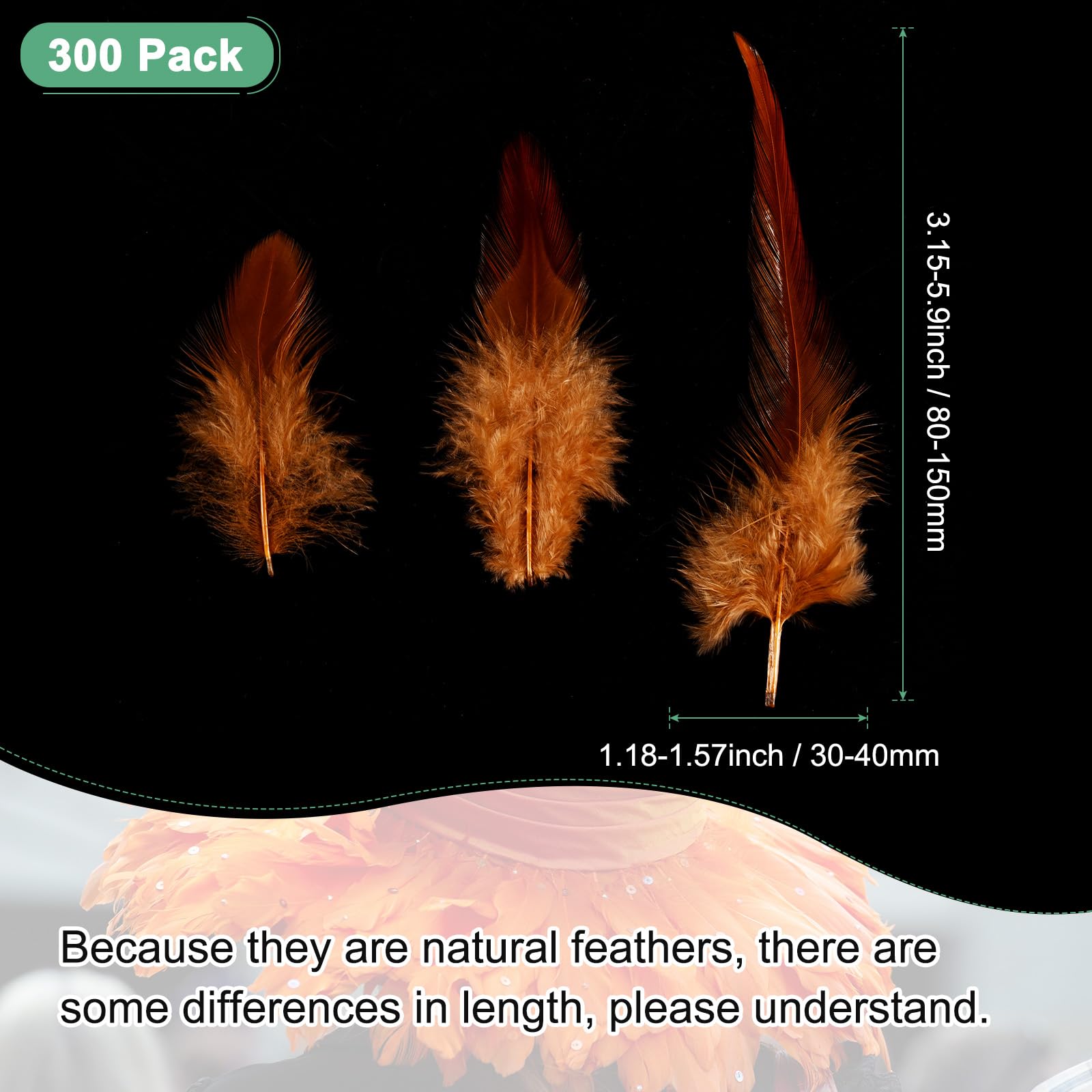 M METERXITY 300-Pack Saddle Hackle Rooster Feather - Image 3