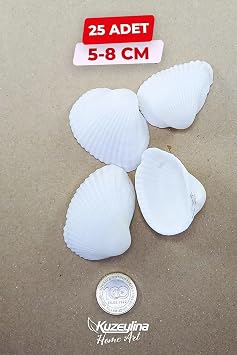 Nikah  ekerine  zel Do al Deniz Kabu u 25 ADET 5-8 Cm