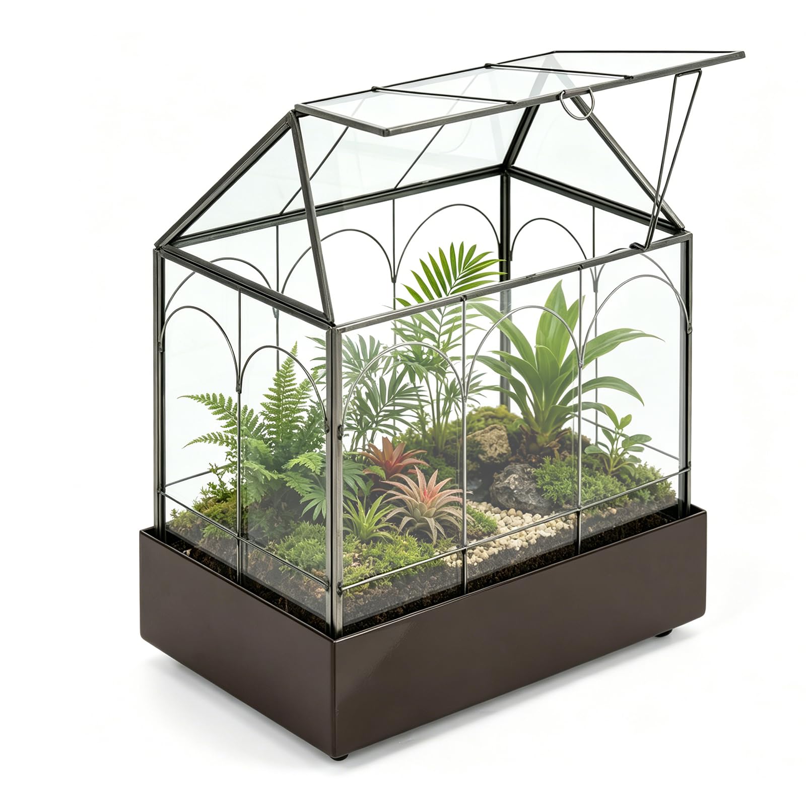 Terrario para plantas, 24,2 x 14,7 x 29 cm, cristal geométrico con bandeja recogedora, microcaja cerrada para suculentas, helecho (sin plantas)