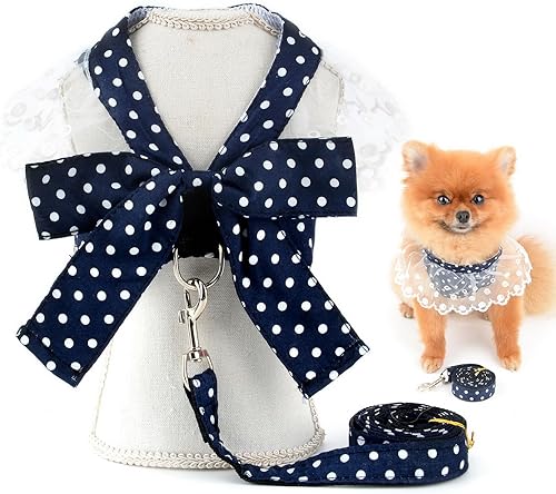 SMALLLEE_LUCKY_STORE Vestido de arnés de princesa a lunares para mascotas, vestido y correa para perros pequeños, gatos y niñas, con lazo en D