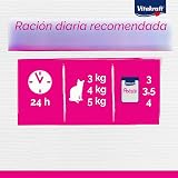 Ver la foto 8