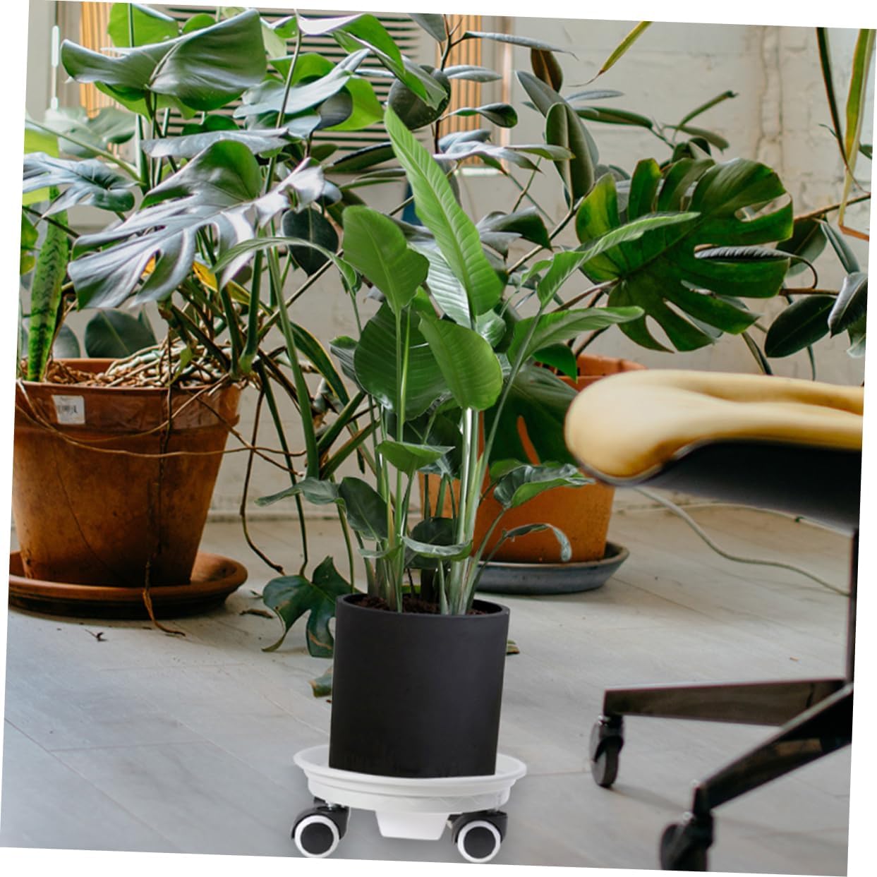 Hemoton Plant Stand Wheels Rolling Plant Stands Base Plastic Trays Material Safe for Floors Multi-purpose