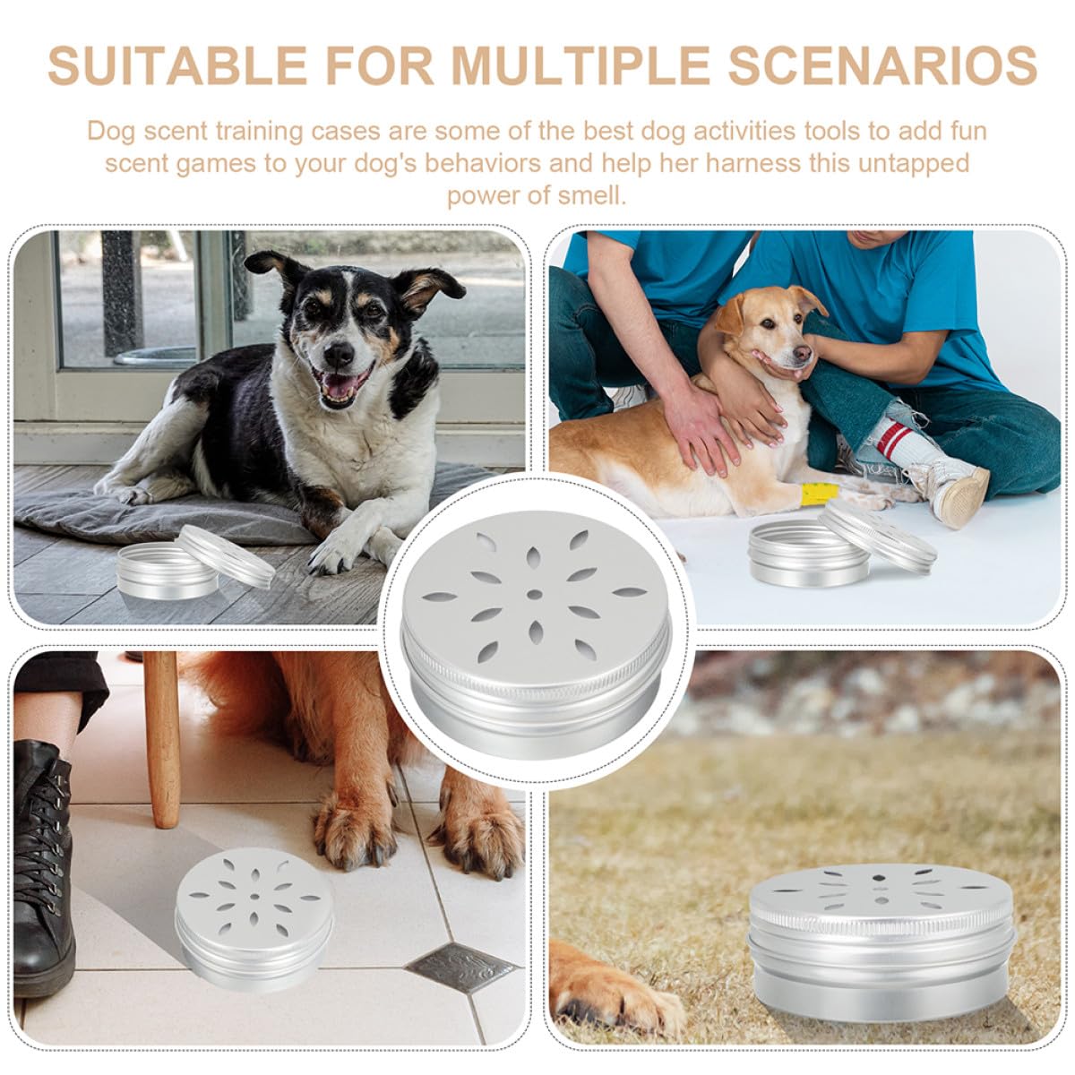 Generico Kit Allenamento Olfattivo per Cani Dell'attività e Riduzione Stress per Addestramento all Olfatto 12 Scatole in Alluminio da 60ml